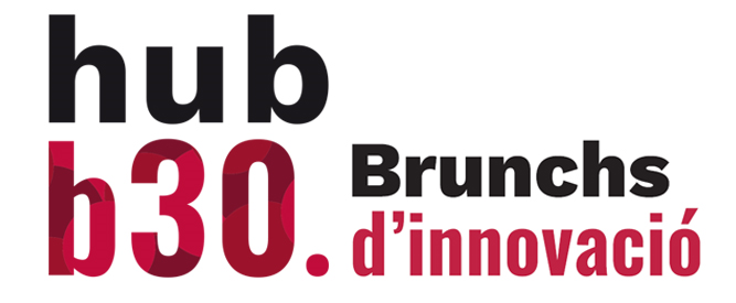 Logo Hubb30